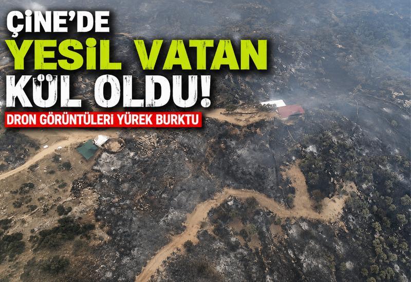 Çine'de yeşil vatan kül oldu! Dron görüntüleri yürek burktu