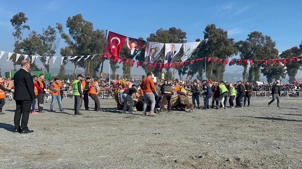 PEHLİVAN DEVELER YILIN İLK GÜREŞİNDE İNCİRLİOVA'DA KOZLARINI PAYLAŞTI