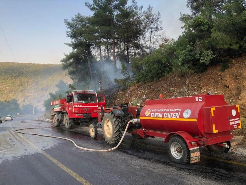 Aydın sınırına yakın bölgede orman yangını!