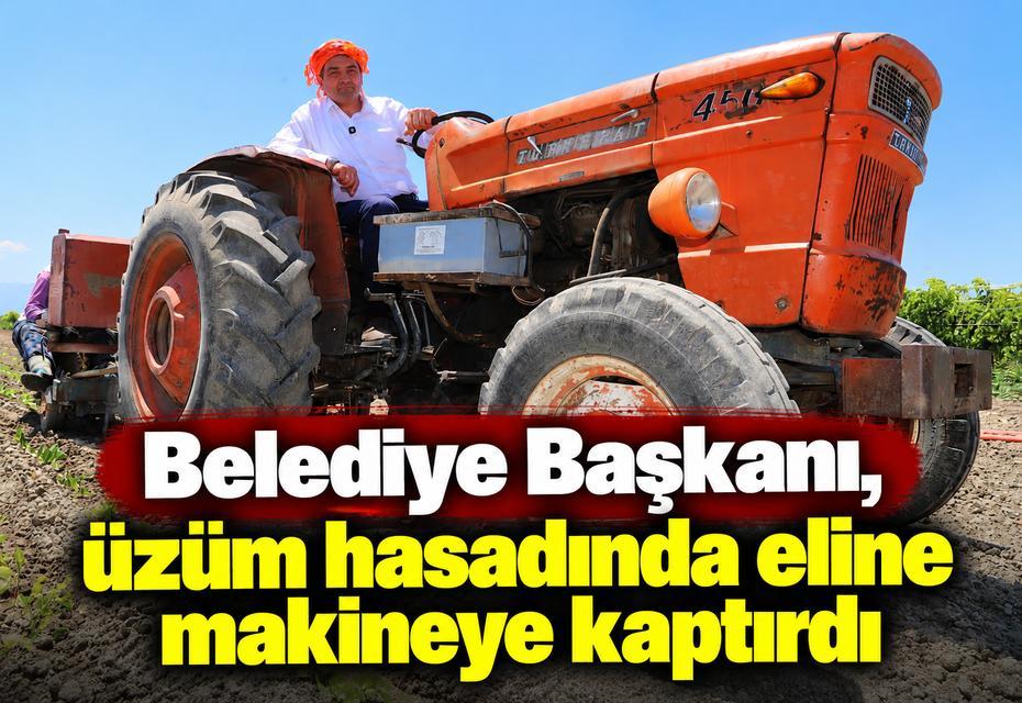 Belediye Başkanı, üzüm hasadında eline makineye kaptırdı