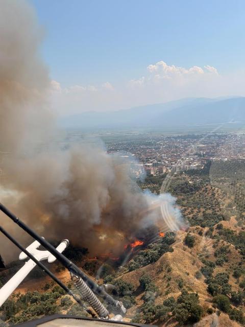 Aydın'da zeytinlik yangınına 4 helikopterle müdahale