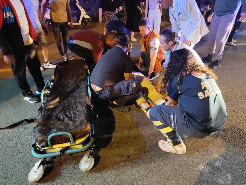 Aydın'da domuz sürüsüne çarpan motosiklet sürücüsü ağır yaralandı