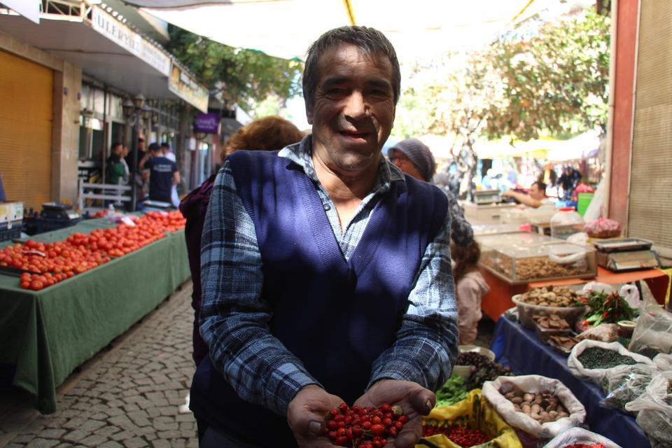 DİKENLERİN ARASINDA ZAHMETLE TOPLANAN KUŞBURNUNA RAĞBET ARTTI