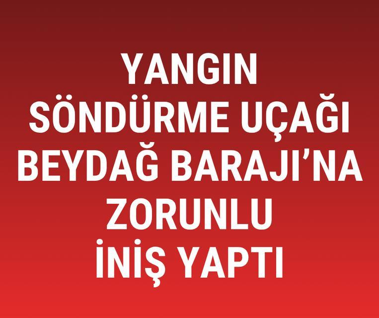 Yangın söndürme uçağı Beydağ Barajı'na zorunlu iniş yaptı