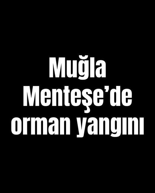 Muğla Menteşe’de orman yangını