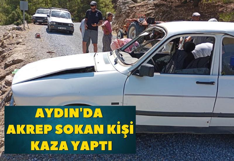 Aydın'da akrep sokan kişi kaza yaptı