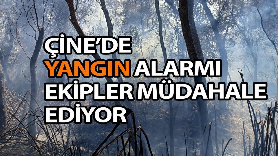 Çine'de yangın