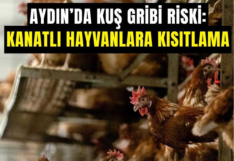 Aydın’da kuş gribi riski: Kanatlı hayvanlara kısıtlama