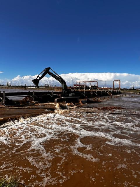 Taşan çay için çalışmalar devam ediyor