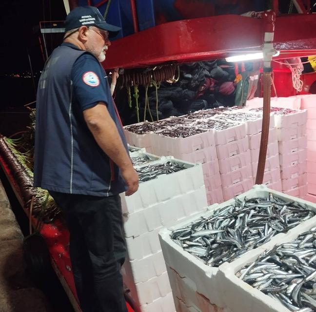 Didim’de hamsi avcılığına yönelik kontroller sıklaştırıldı
