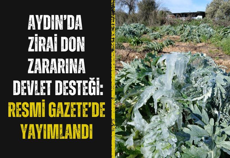 Aydın’da zirai don zararına devlet desteği: Resmi Gazete’de yayımlandı