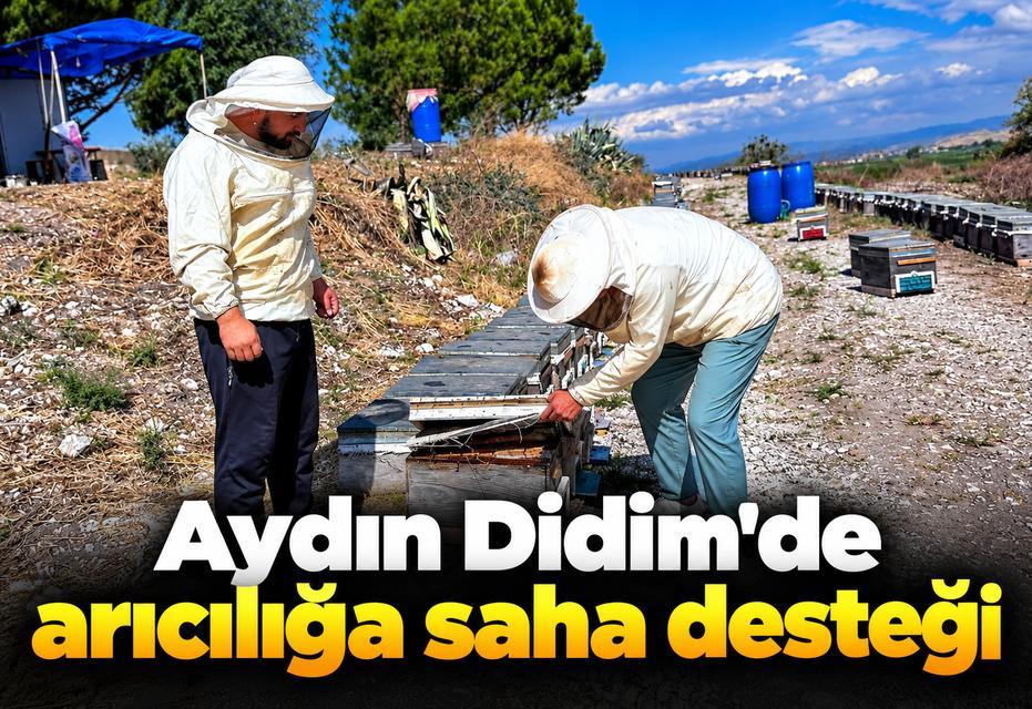 Didim’de arıcılığa saha desteği