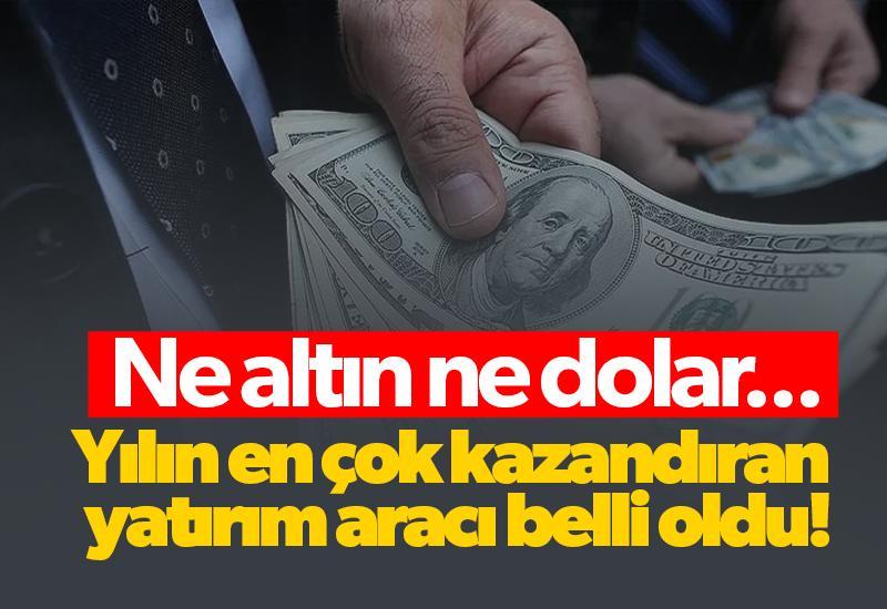 Ne altın ne dolar, işte yılın en çok kazandıran yatırım aracı