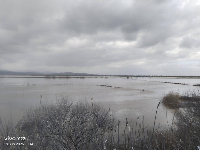Söke Ovasında Yedi Yıl Sonra Yaşanan Taşkın Ekipleri Tekayuza Geçirdi