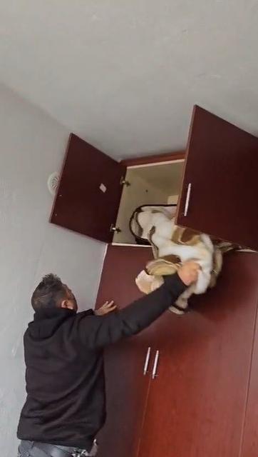 ARANAN ŞAHSIN YAKALANDIĞI YER PES DEDİRTTİ KONYA'DA 49 FARKLI SUÇTAN ARANAN ŞAHIS, GARDIROBUN ÜST KISMINDAKİ BATTANİYENİN ALTINDA ÇIKTI