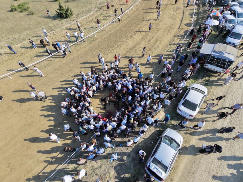 Yarışta çarpışan iki at telef oldu, jokey son anda atlayarak kurtuldu