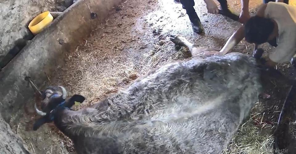 Aydın’da skandal iddia: Sezaryen tartışmasında yeni açıklama