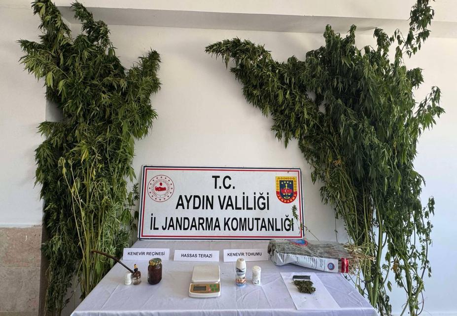 Aydın’da  70 yaşındaki adamın evinden uyuşturucu serası çıktı