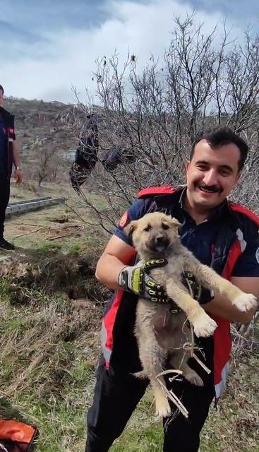 Minik köpeği itfaiye ekipleri kurtardı