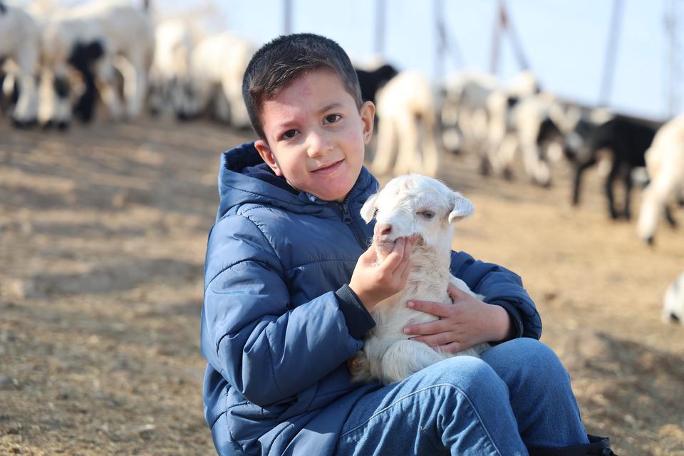 YENİ YILIN KUZULARI DÜNYAYA GELDİ
