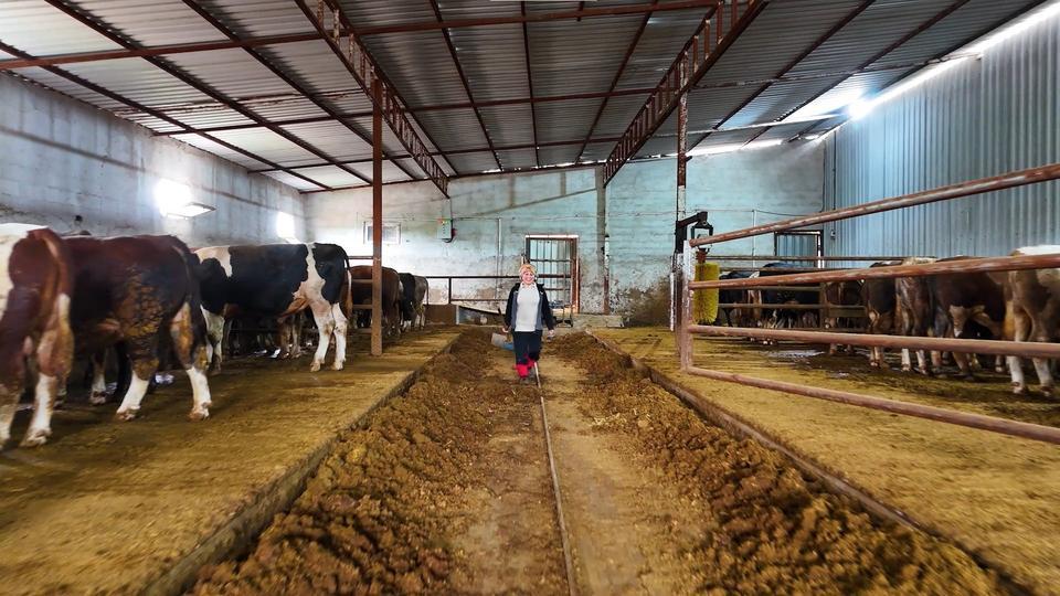 Kadınsın yapamazsın dediler, o çiftlik kurdu
