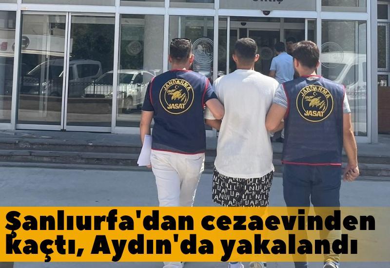 Şanlıurfa'dan cezaevinden kaçtı, Aydın'da yakalandı