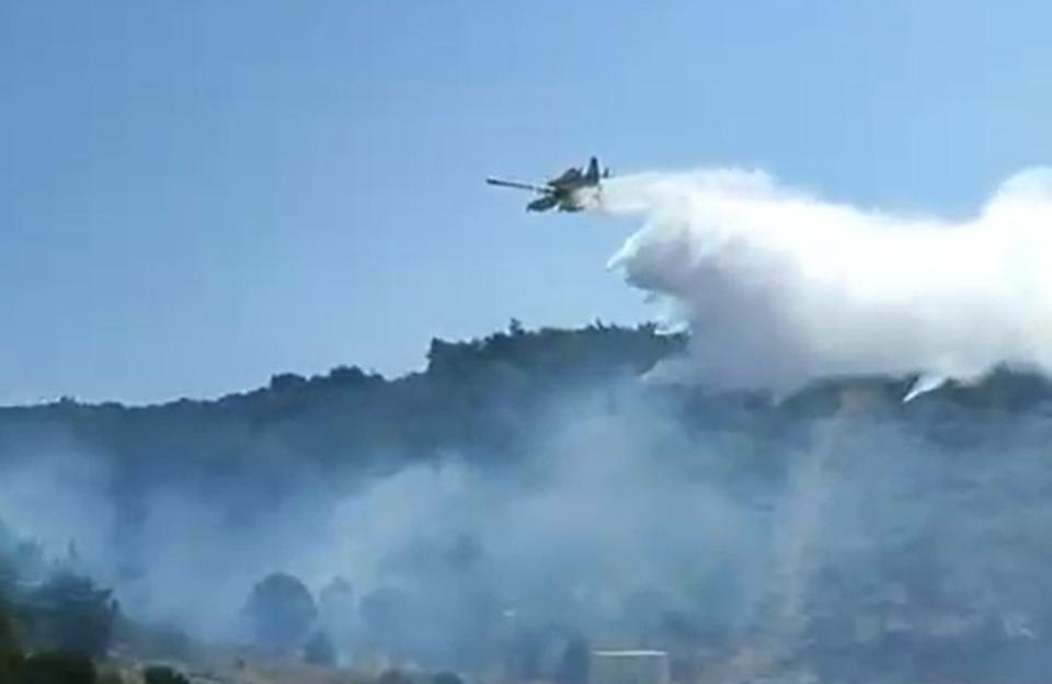 Kuşadası'nda orman yangını