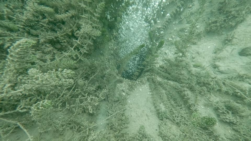 Göldeki kabarcıklar deprem endişesini arttırıyor