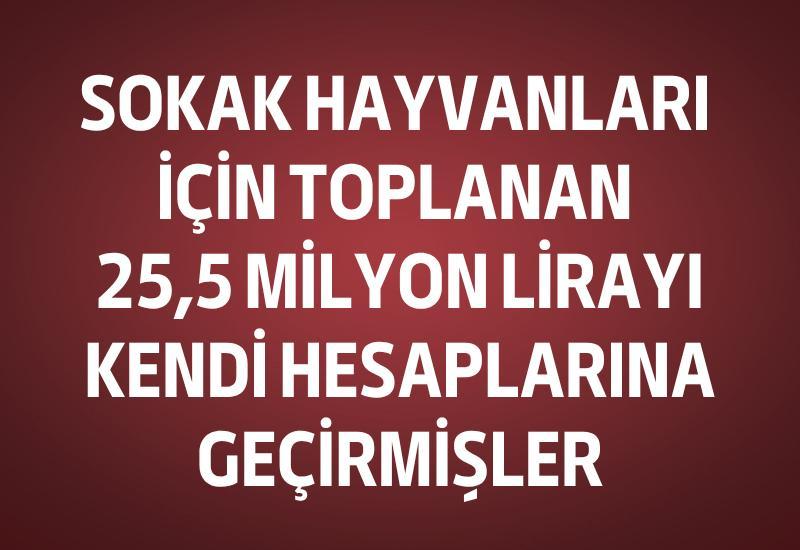 Sokak hayvanları için toplanan 25,5 milyon lirayı kendi hesaplarına geçirmişler