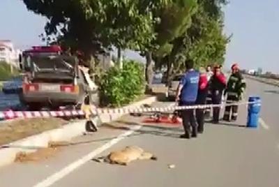 YOLA ÇIKAN KÖPEK KAZAYA NEDEN OLDU: 1 ÖLÜ, 2 YARALI