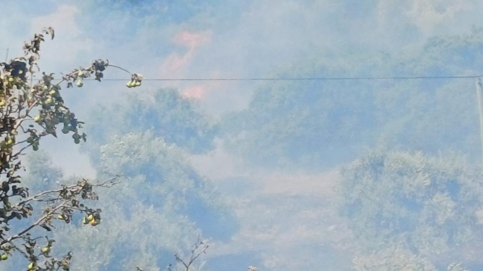 Çine’de yine yangın paniği! Alevler zeytinliğe sıçradı