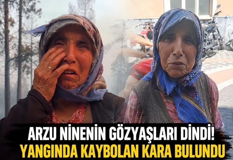Arzu ninenin gözyaşları dindi! Yangında kaybolan Kara bulundu
