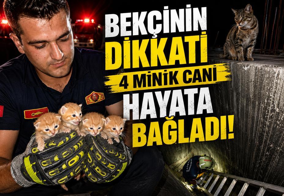 Bekçinin dikkati 4 minik canı hayata bağladı