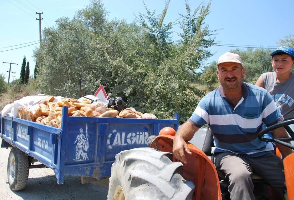 İNSANLAR AÇ KALMASIN DİYE ÜRETİLİYOR, HAYVAN YEMİ OLARAK SATILIYOR TÜRKİYE'DE EKMEK İSRAFI BİR TÜRLÜ ÖNLENEMİYOR