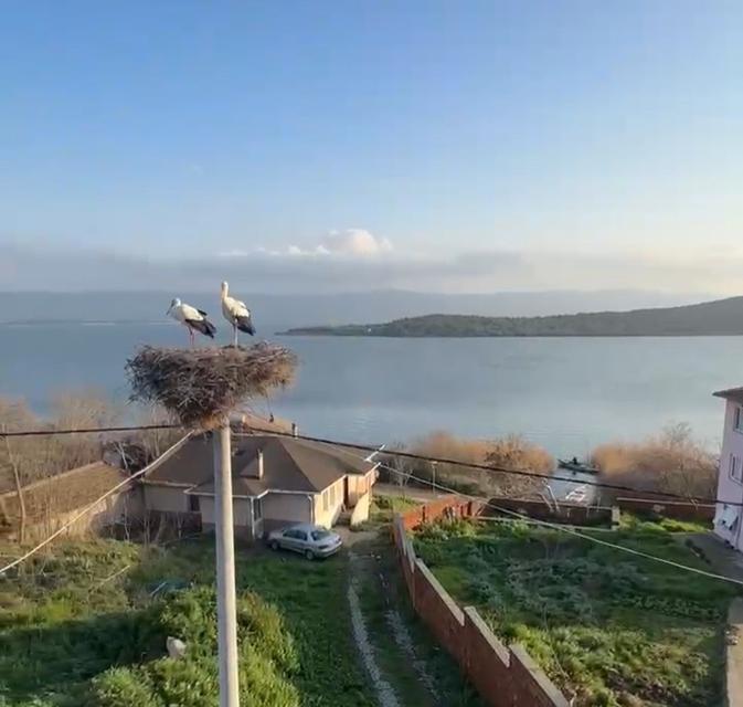BELGESELLERE KONU OLAN YAREN'İN ARDINDAN EŞİ NAZLI DA BALIKÇI ADEM AMCA'NIN YANINA GELDİ YAREN LEYLEK'İN EŞİNE KAVUŞMA ANI KAMERAYA YANSIDI MİLYONLARIN DÖRT GÖZLE BEKLEDİĞİ KAVUŞMA ANI KAMERAYA YANSIDI