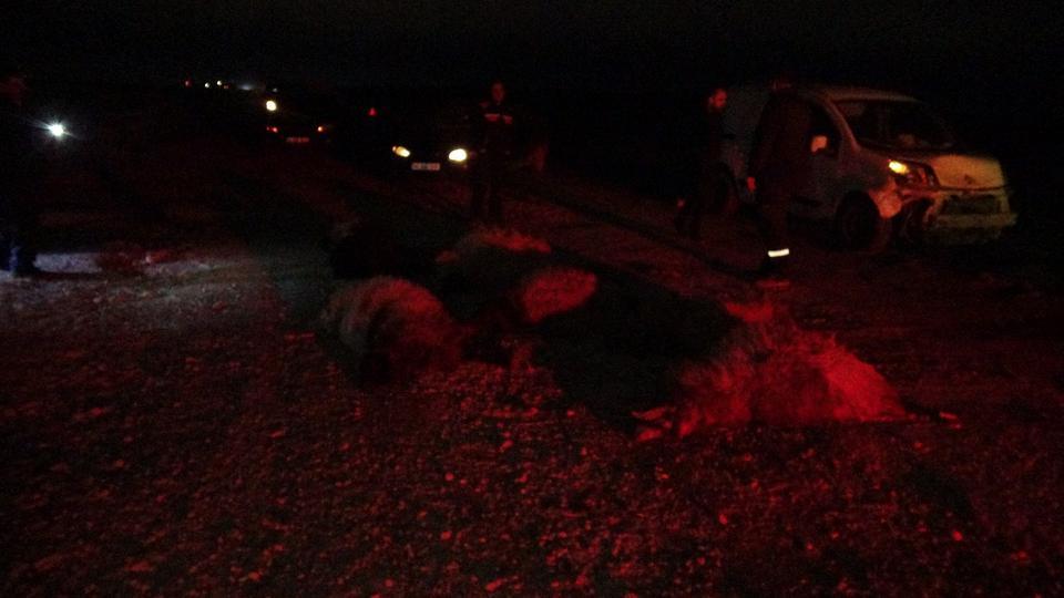 Araç sürüye daldı, çok sayıda koyun telef oldu