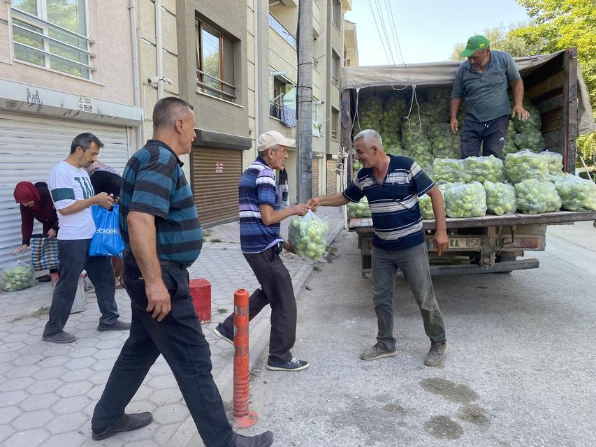 5 ton dolmalık biberi ücretsiz dağıttı