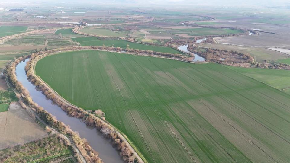 Aydın’da çiftçiye büyük destek: Don zararları için milyonlarca lira ödeme