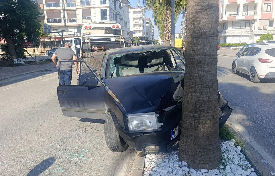 Palmiyeye çarpan araç hurdaya döndü