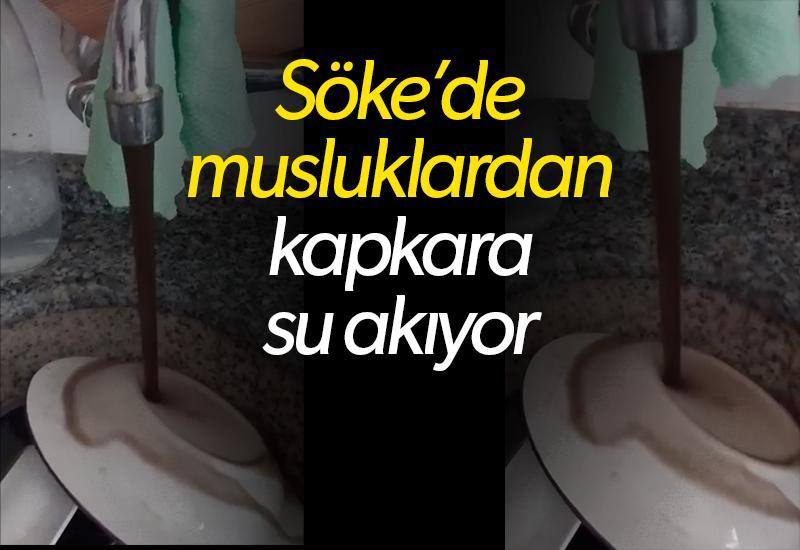 Söke'de musluklardan kapkara su akıyor