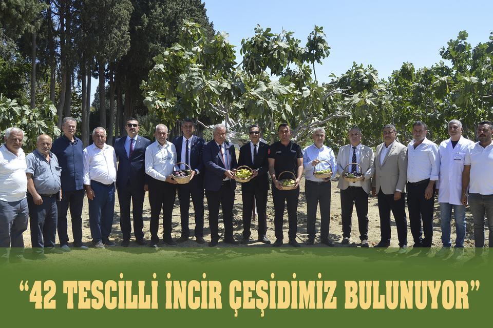 “42 tescilli incir çeşidimiz bulunuyor”