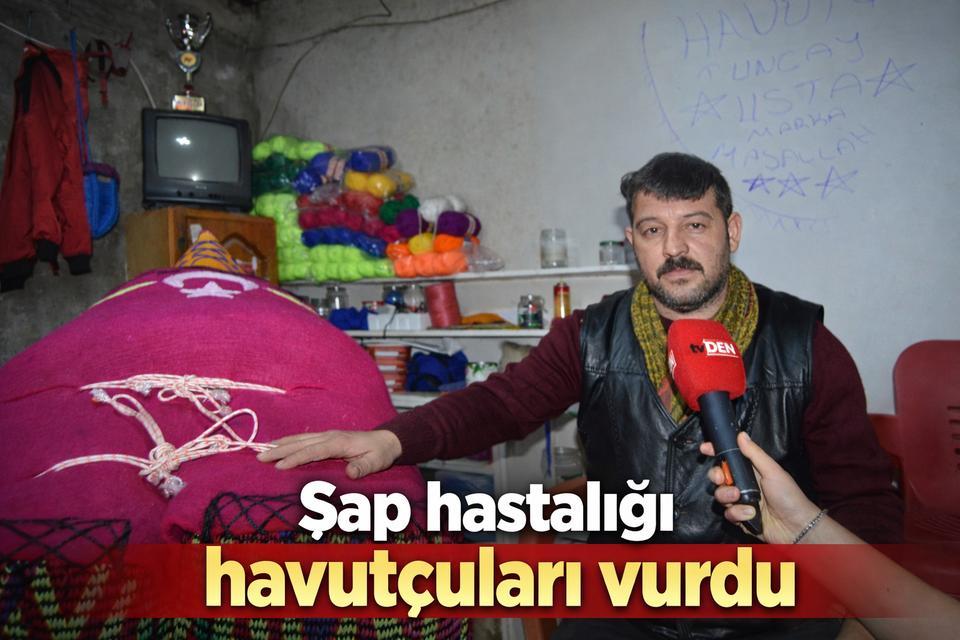 Şap hastalığı havutçuları vurdu