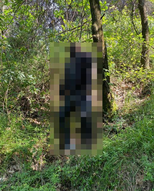 YALOVA'DA KAYIP ŞAHIS ORMANLIK ALANDA ÖLÜ BULUNDU