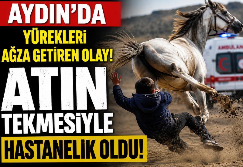 Aydın'da yürekleri ağza getiren olay! Atın tekmesiyle hastanelik oldu