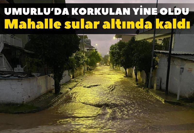 Umurlu’da korkulan yine oldu: Dere taştı, mahalle sular altında kaldı