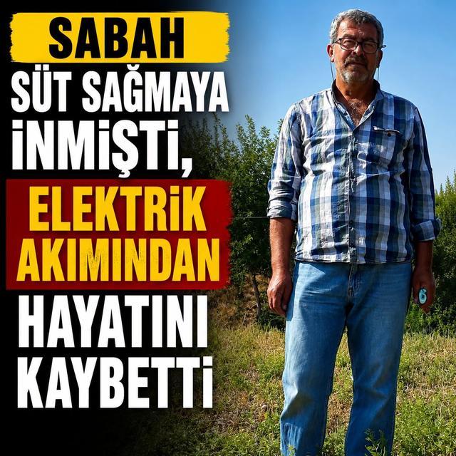 Süt sağarken elektrik akımına kapılarak hayatını kaybetti