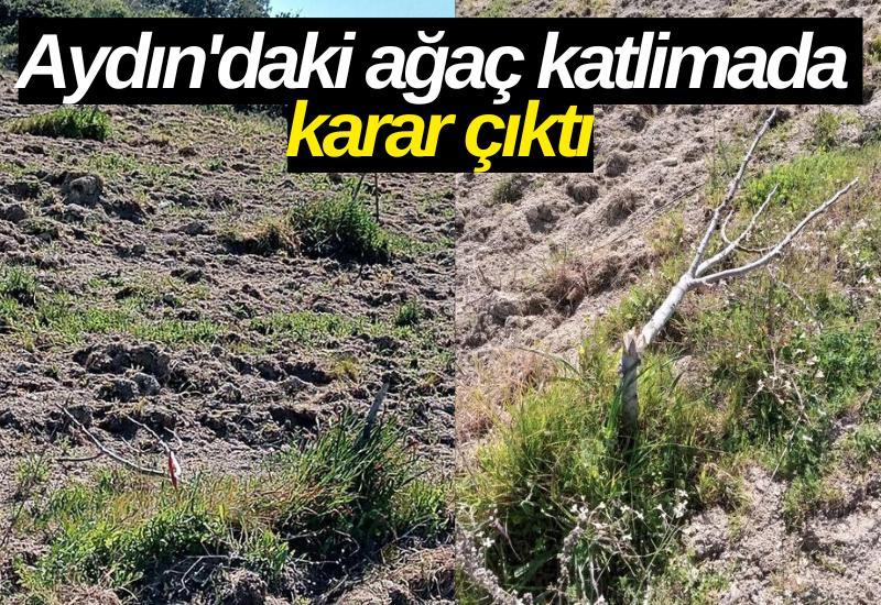 Aydın'daki ağaç katlimada karar çıktı