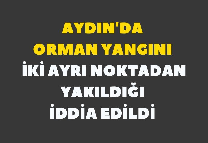 Aydın'da orman yangını; iki ayrı noktadan yakıldığı iddia edildi