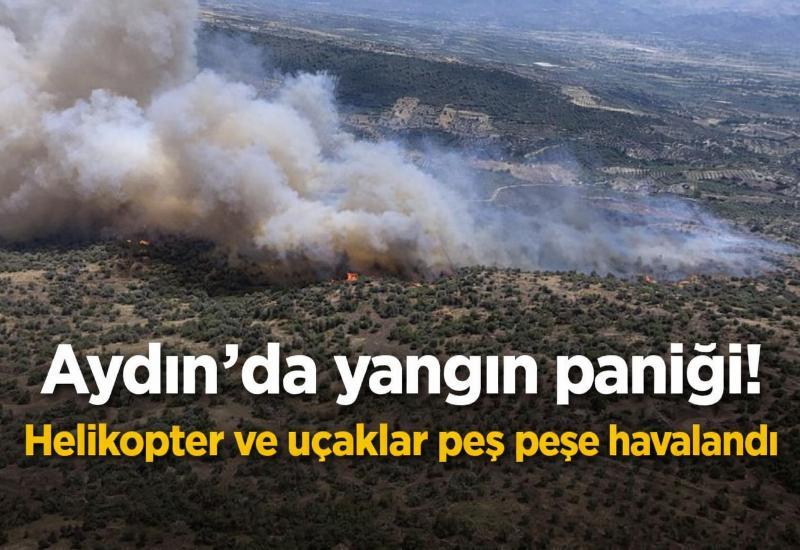 Aydın'da yangın paniği! Helikopter ve uçaklar peş peşe havalandı