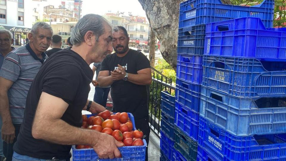 4 ton domatesi vatandaşlara ücretsiz dağıttı